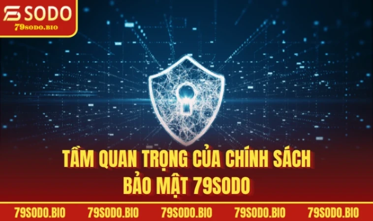 Tầm quan trọng của chính sách bảo mật 79SODO